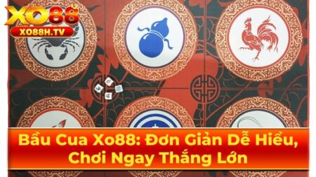 Những Lưu Ý Quan Trọng Khi Chơi Bầu Cua
