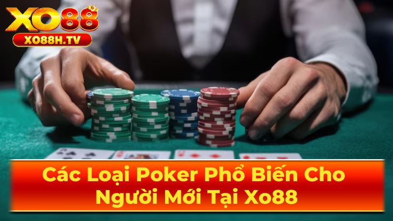 Các Loại Poker Phổ Biến Cho Người Mới Tại Xo88 1 Texas Hold'em - Hoàng Tử Của Làng Poker