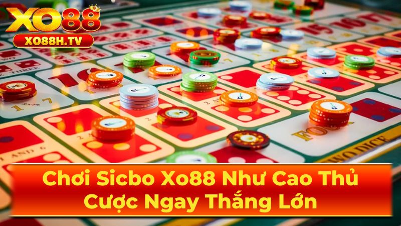 Chơi Sicbo Xo88 Như Cao Thủ, Cược Ngay Thắng Lớn 3 Chiến Thuật Chơi Sicbo Hiệu Quả