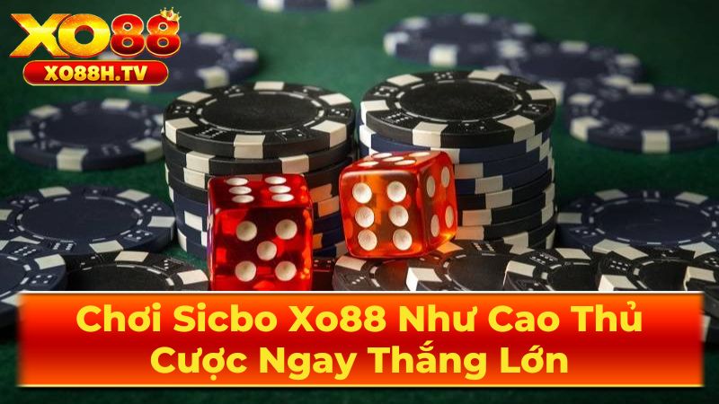 Chơi Sicbo Xo88 Như Cao Thủ, Cược Ngay Thắng Lớn 2 Hướng Dẫn Cách Chơi Sicbo Chi Tiết