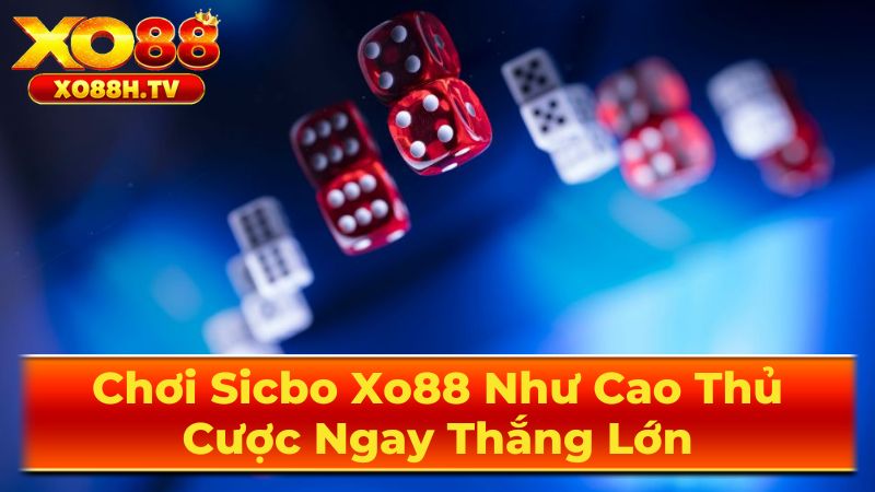 Chơi Sicbo Xo88 Như Cao Thủ, Cược Ngay Thắng Lớn 1 Luật Chơi Sicbo Cơ Bản - Điều Cần Biết Cho Người Mới