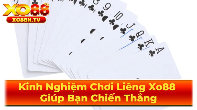 Giới Thiệu Chi Tiết Về Bài Liêng