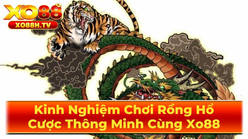 Kinh Nghiệm Chơi Rồng Hổ: Cược Thông Minh Cùng Xo88 2 Chiến Thuật Chơi Rồng Hổ Chuyên Nghiệp