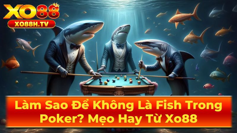 Làm Sao Để Không Là Fish Trong Poker? Mẹo Hay Từ Xo88 1 Fish Trong Poker: Định Nghĩa Và Đặc Điểm