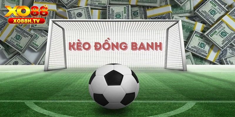 Kèo Đồng Banh Là Gì? Xo88 Bật Mí Tip Cược Chuẩn 2 Cách đọc kèo đồng banh