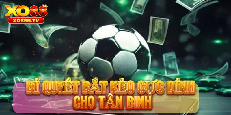 Khám Phá Tất Tần Tật Về Kèo Handicap Tại Nhà Cái Xo88 3 Mẹo chơi kèo handicap